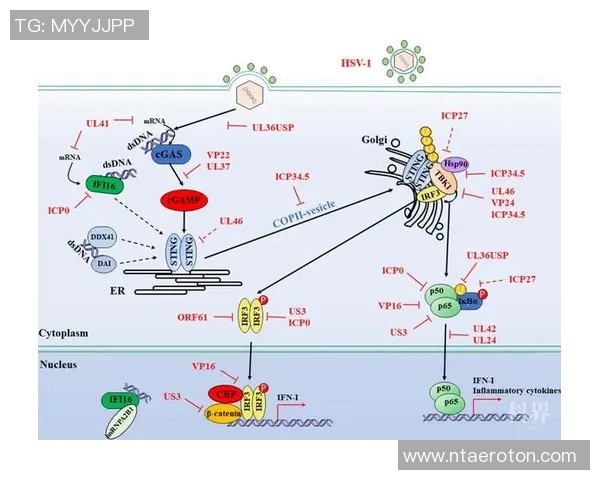 森柏欧与隆迪那的精彩对决揭示了足球战术的博弈与团队合作的重要性